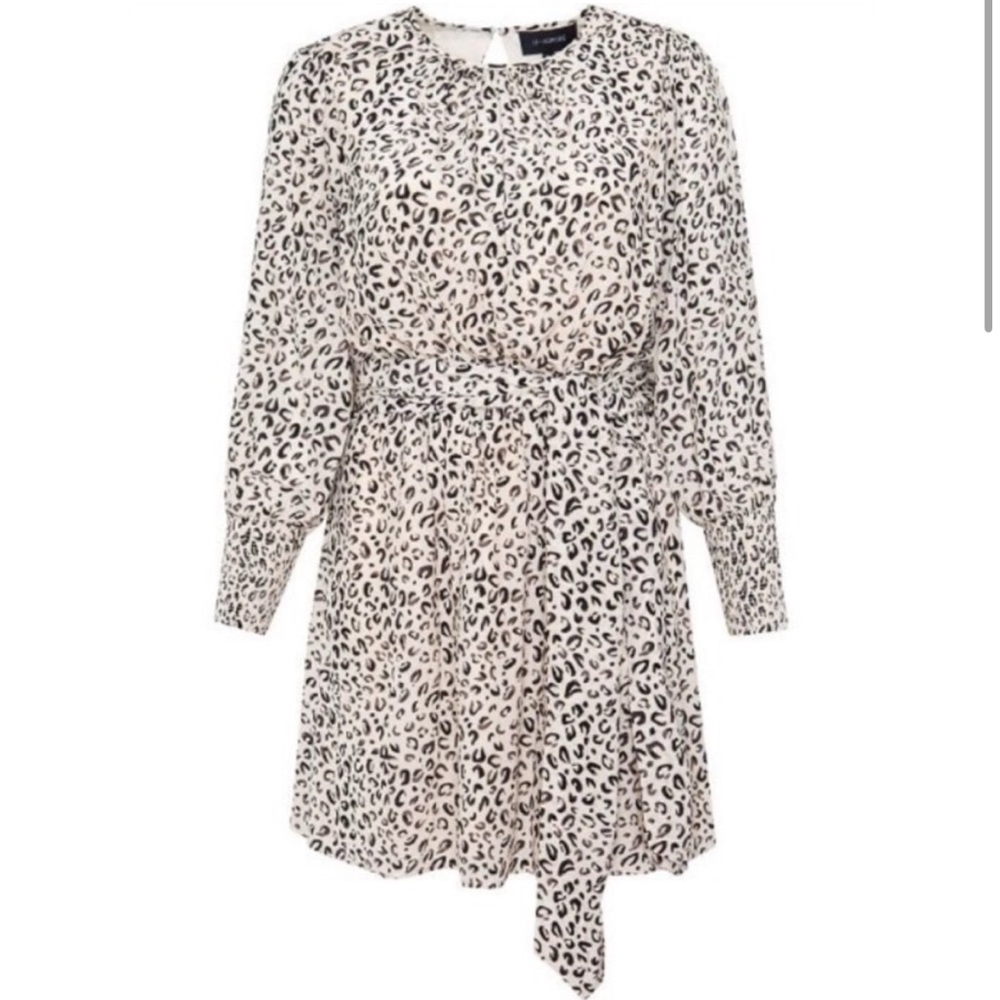 Nordstrom’s 11 Honoré Valentina Dress Animal Print